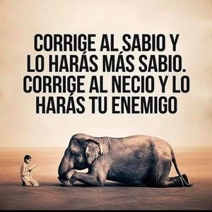 Meet your Posher, Hector